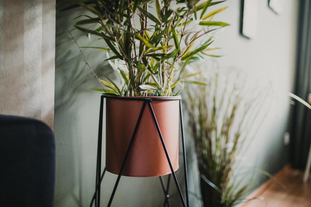 Zeus Design Apartments Lovely Home ウィーン エクステリア 写真